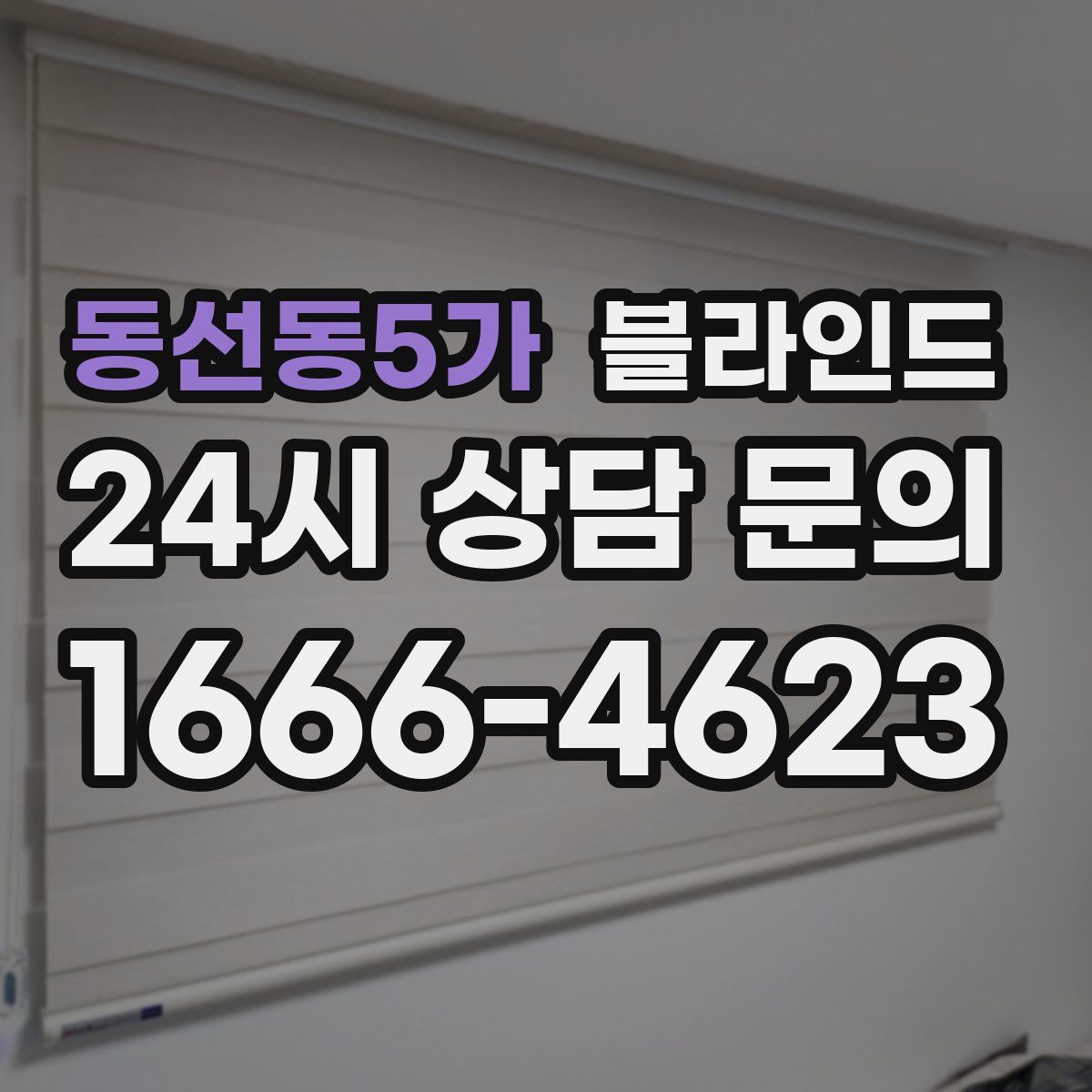 동선동5가 블라인드