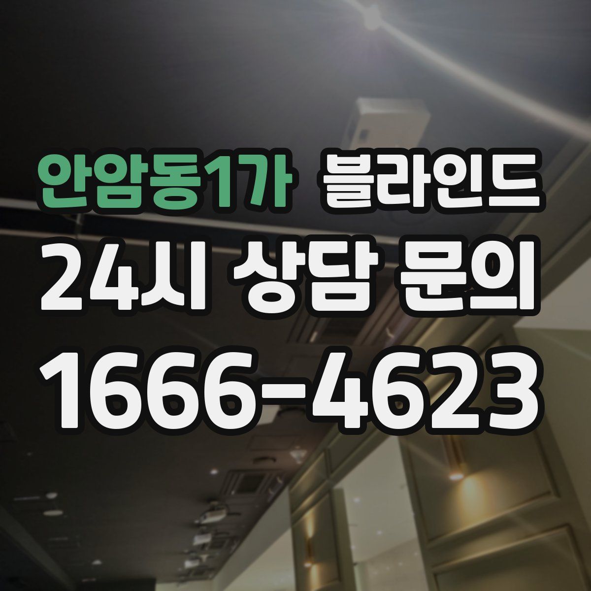 안암동1가 블라인드