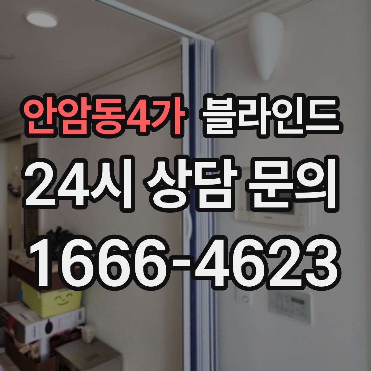 안암동4가 블라인드