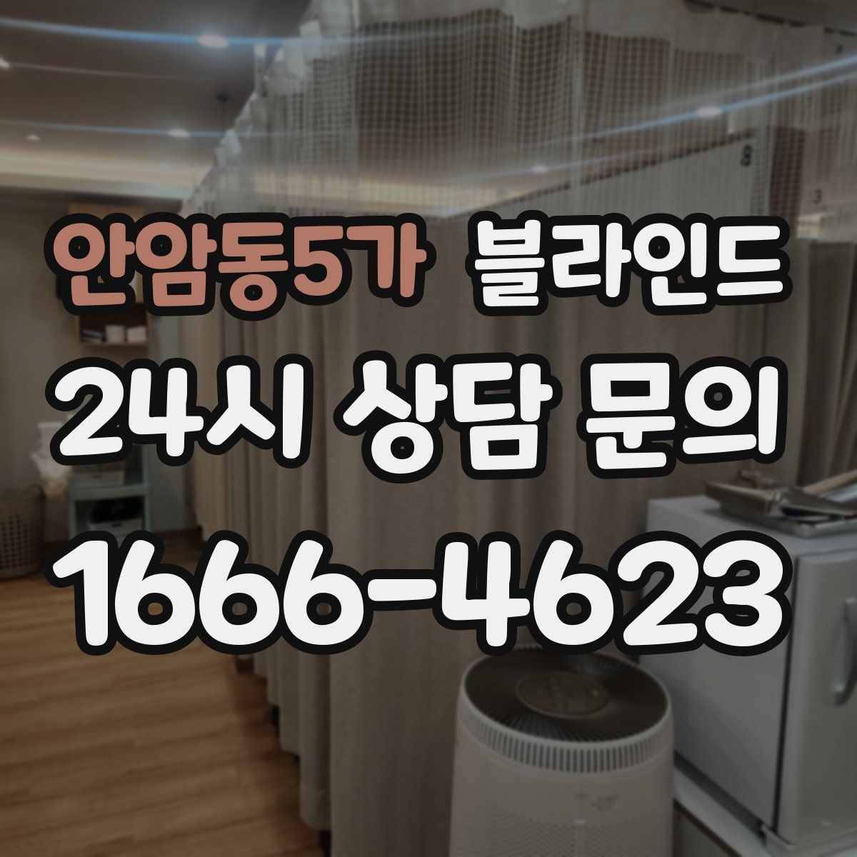 안암동5가 블라인드