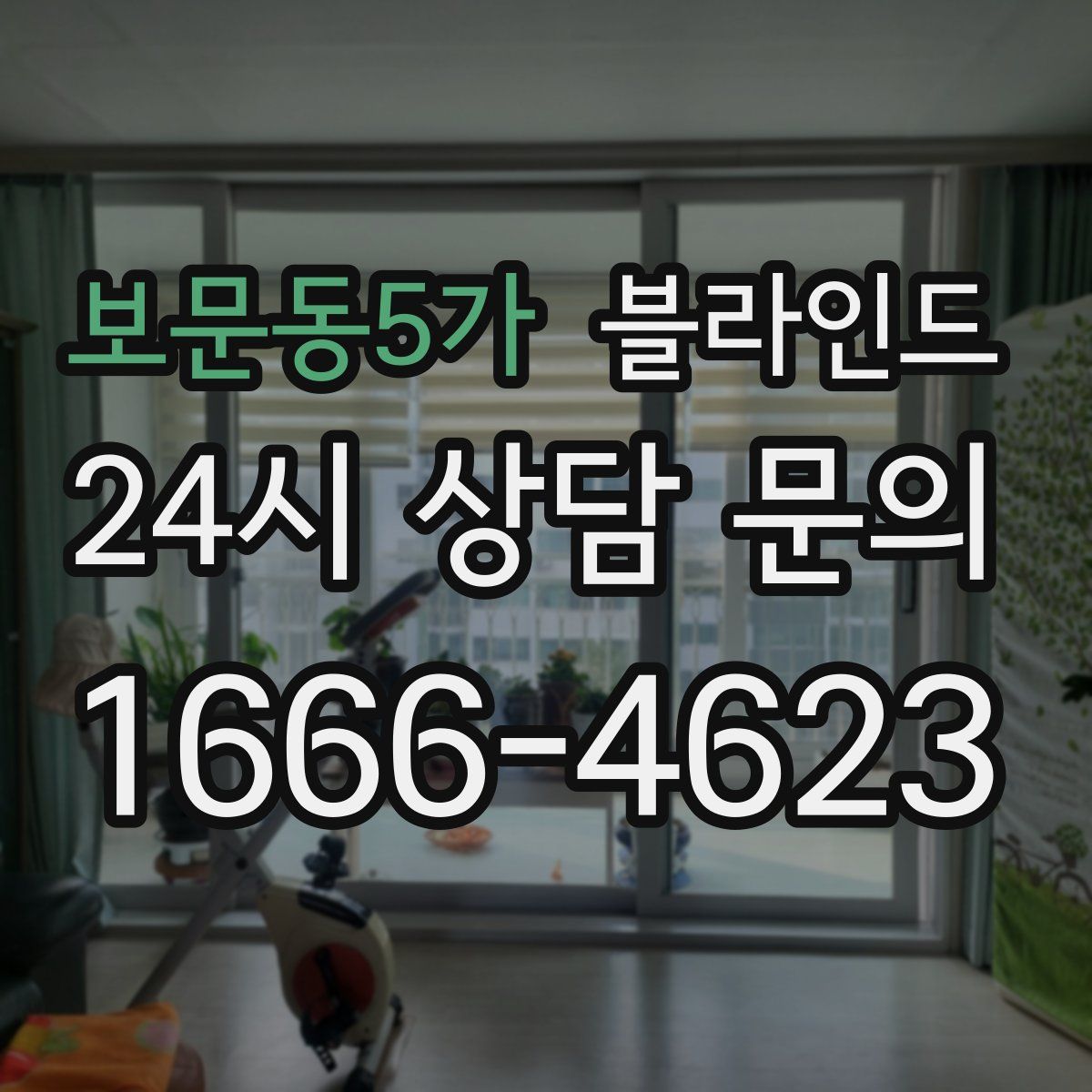 보문동5가 블라인드