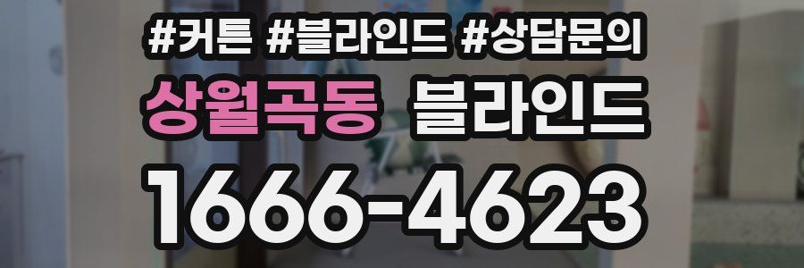 상월곡동 블라인드
