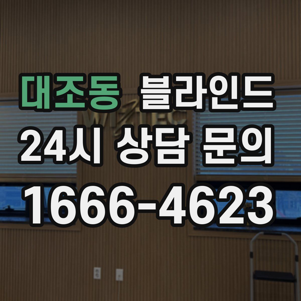 대조동 블라인드