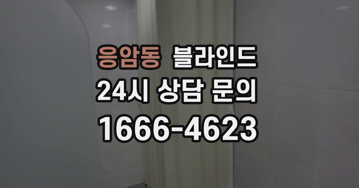 응암동 블라인드