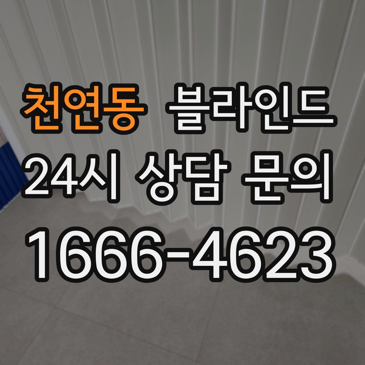 천연동 블라인드