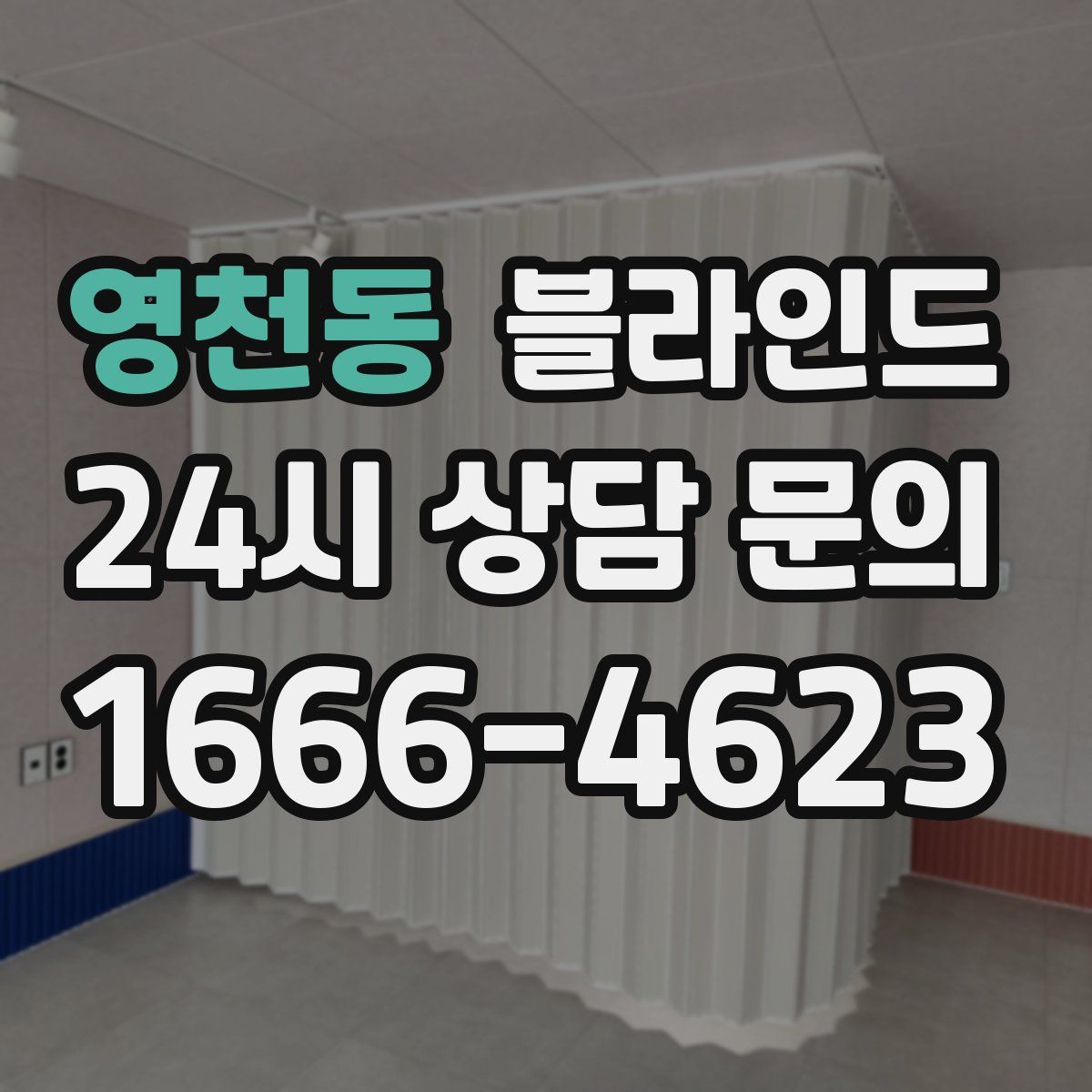 영천동 블라인드
