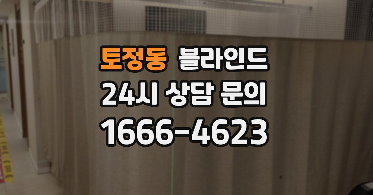 토정동 블라인드