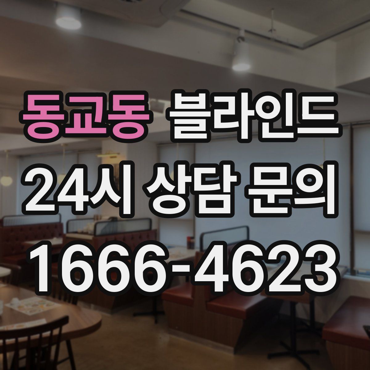 동교동 블라인드