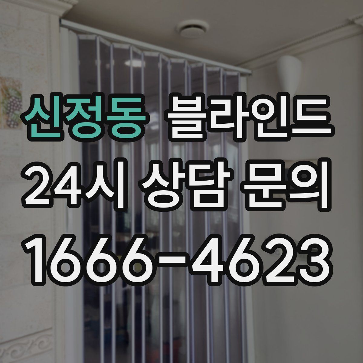 신정동 블라인드
