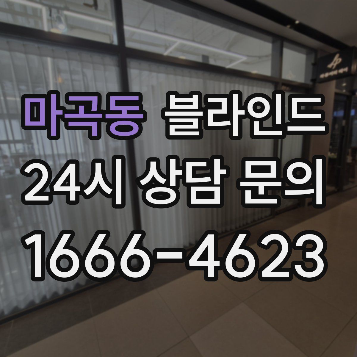 마곡동 블라인드