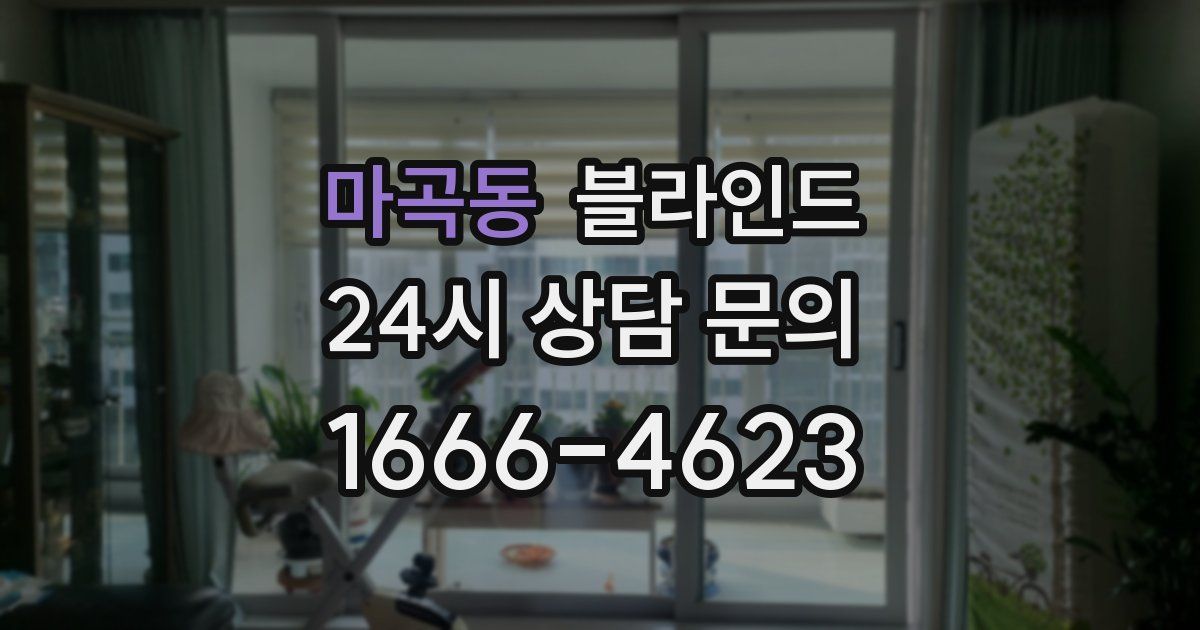 마곡동 블라인드