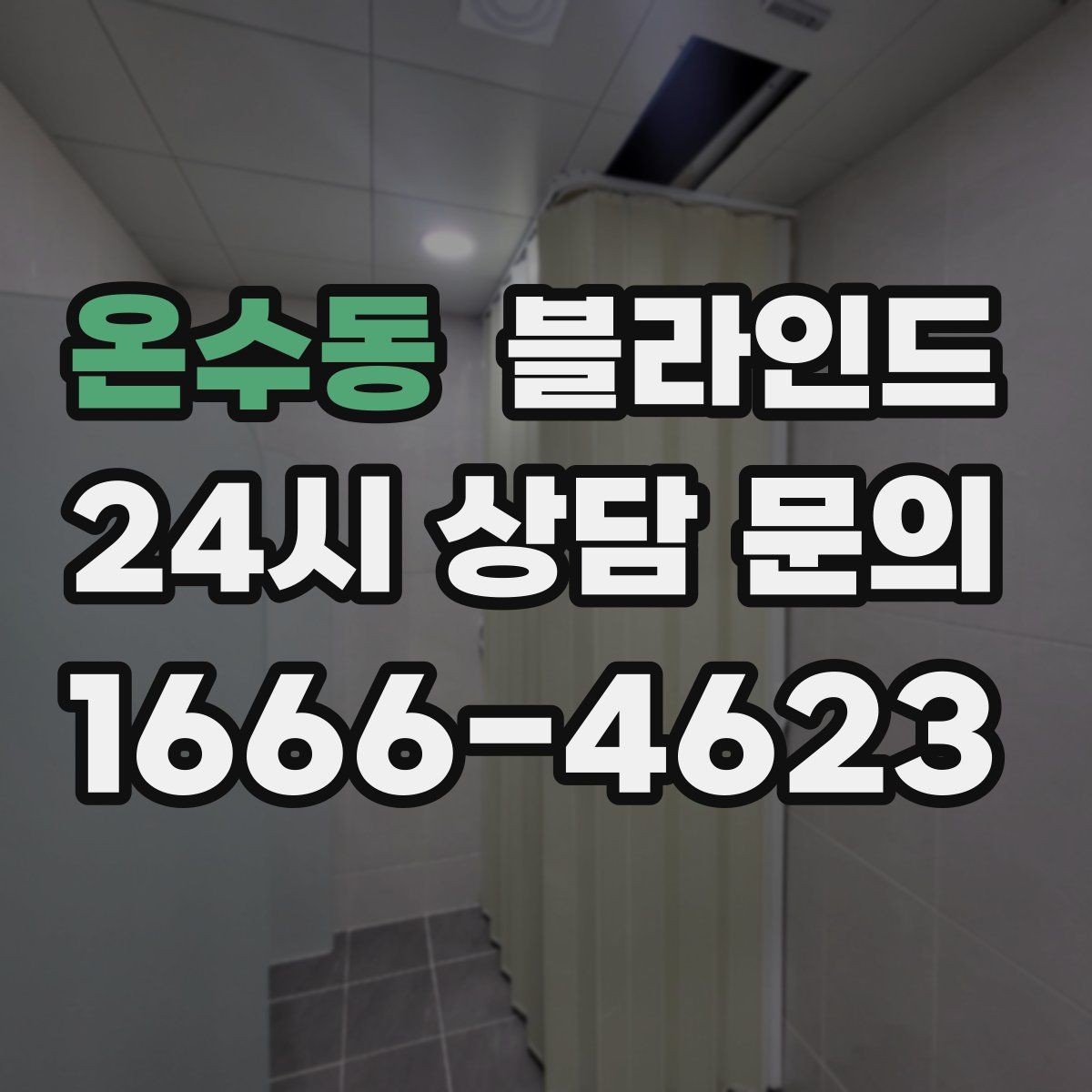 온수동 블라인드