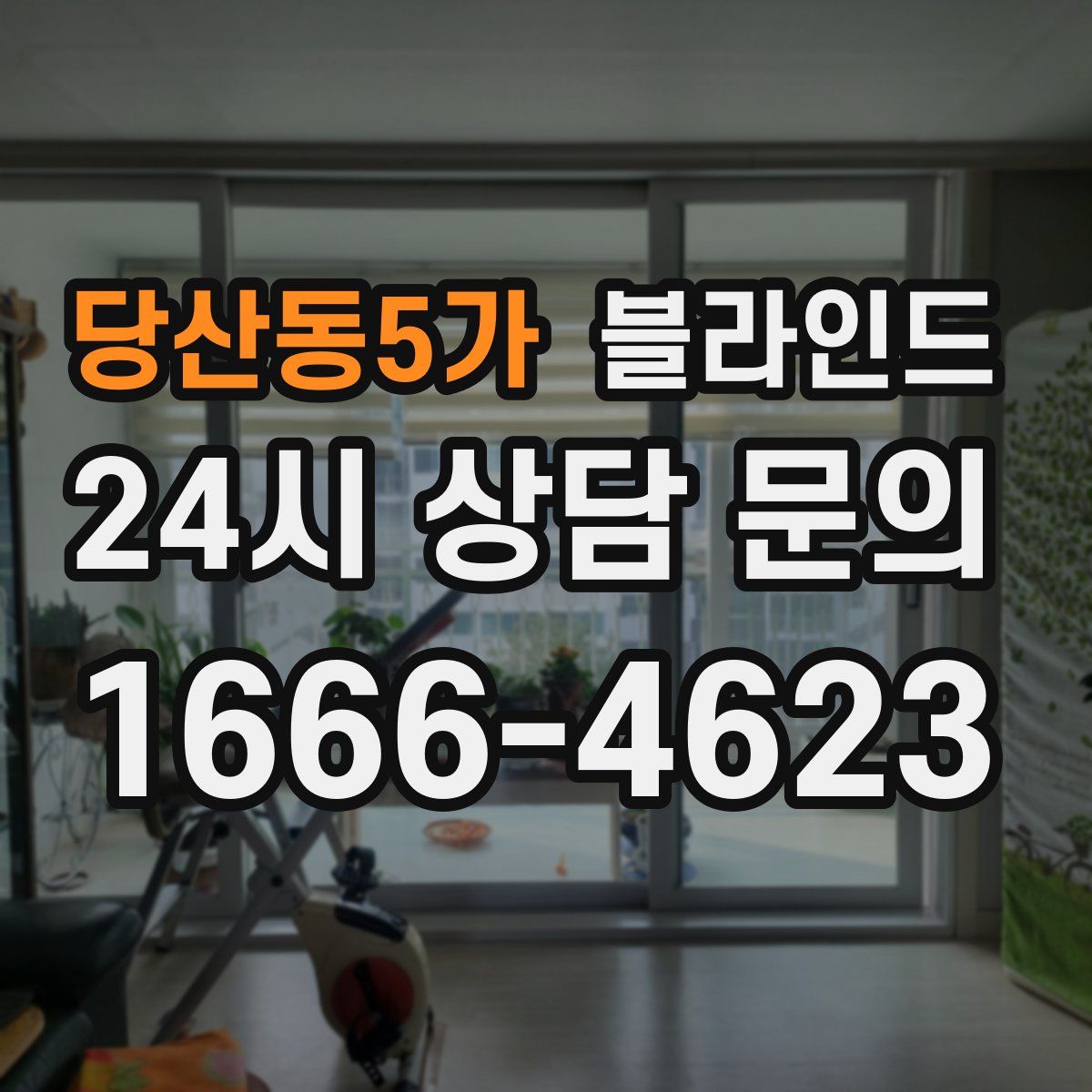 당산동5가 블라인드