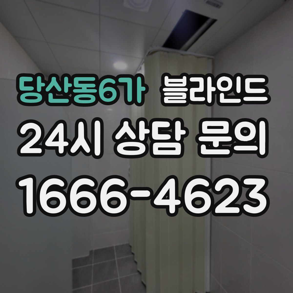 당산동6가 블라인드