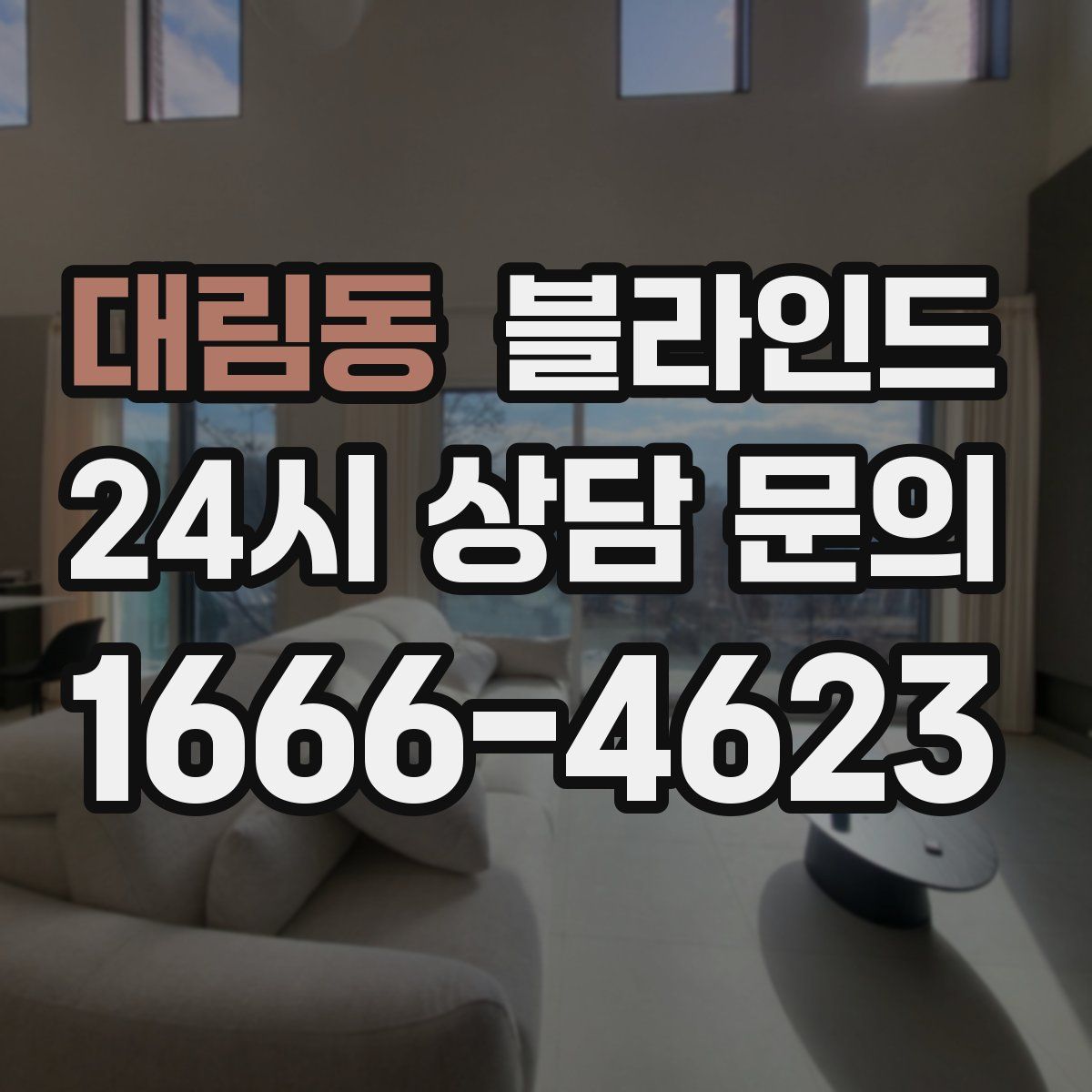 대림동 블라인드