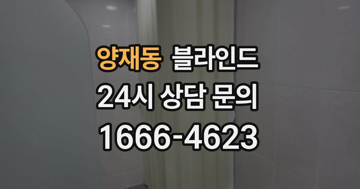 양재동 블라인드