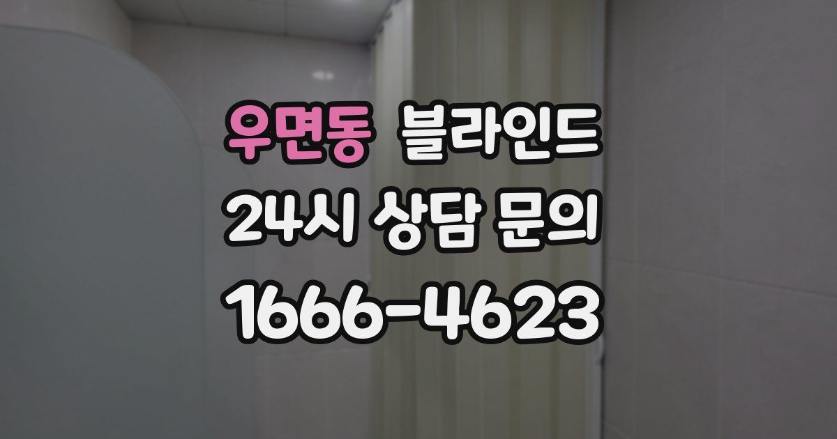 우면동 블라인드