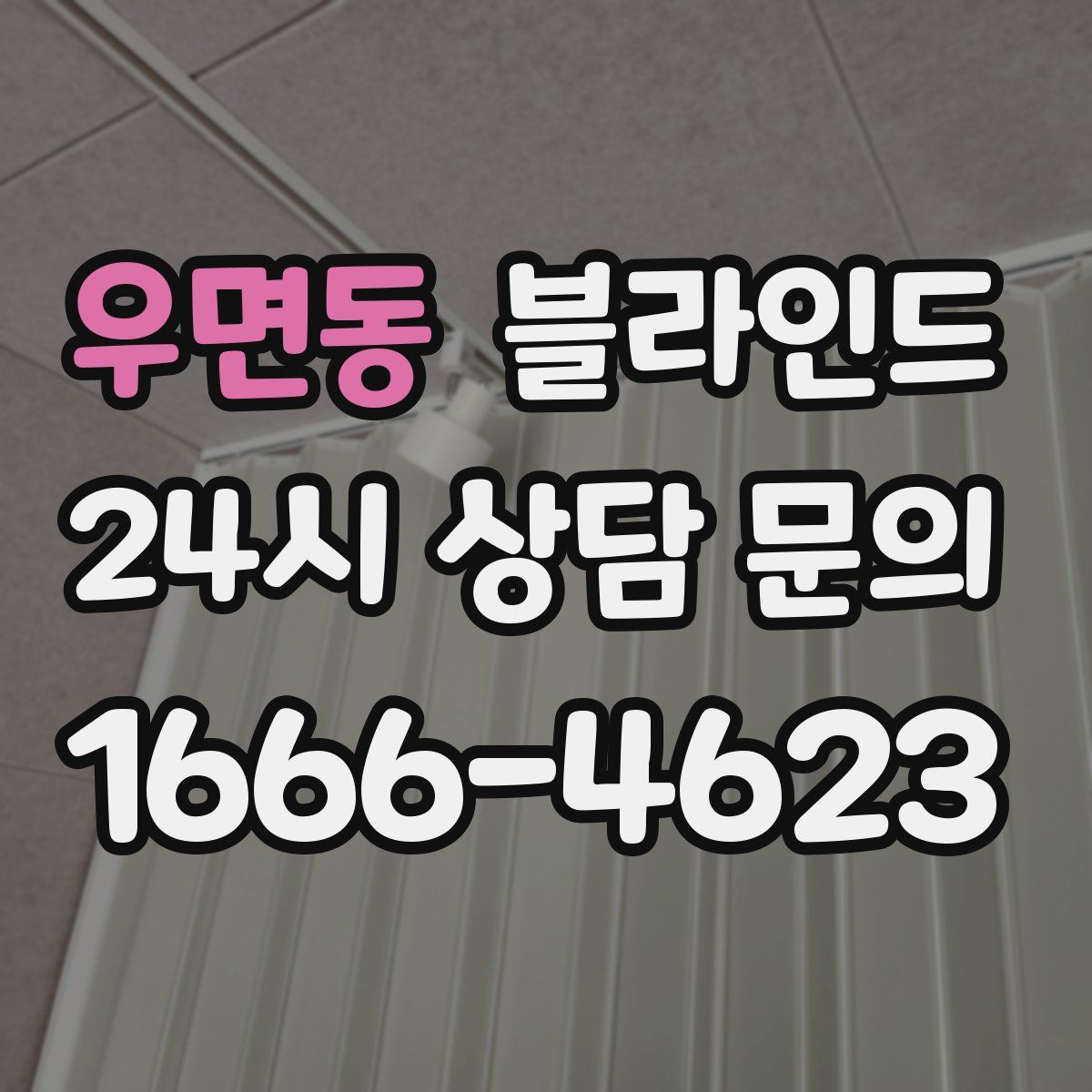우면동 블라인드