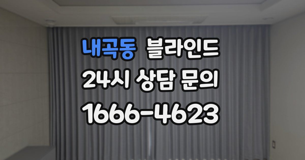 내곡동 블라인드