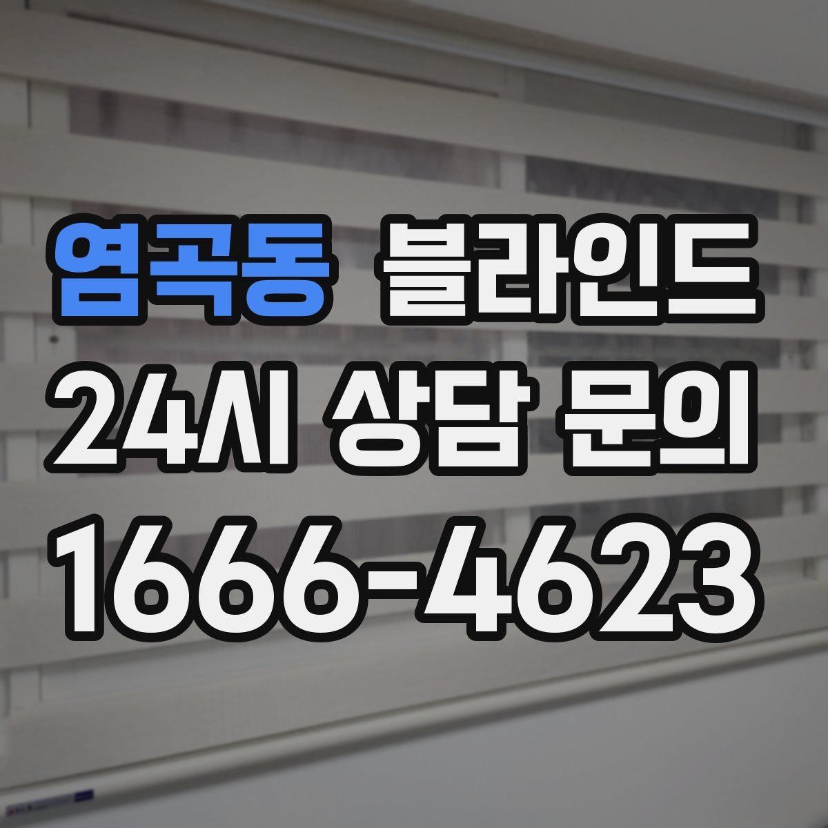 염곡동 블라인드