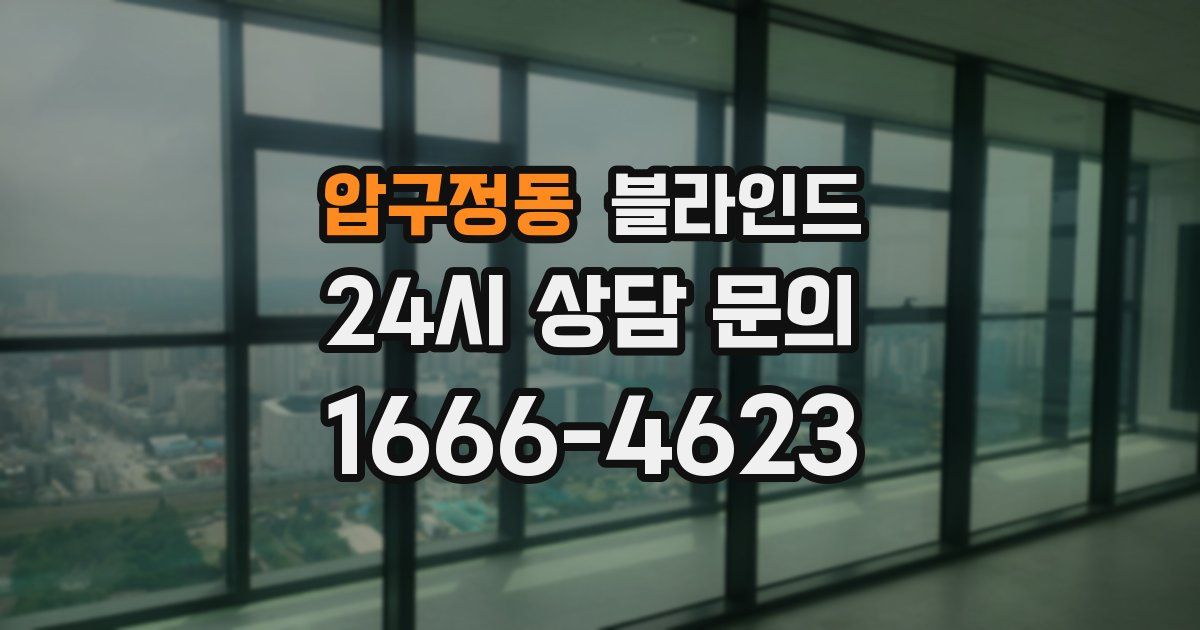 압구정동 블라인드