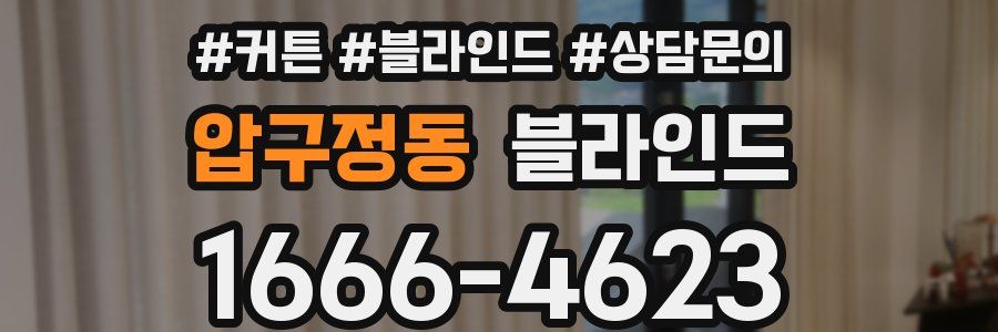압구정동 블라인드
