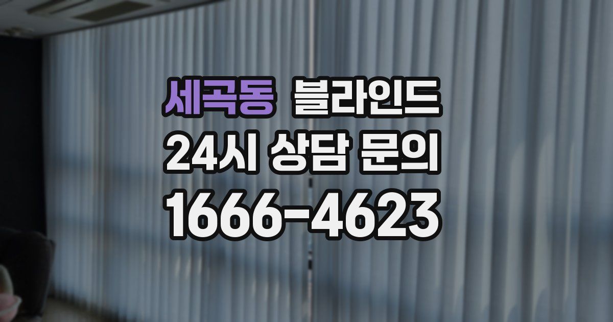 세곡동 블라인드