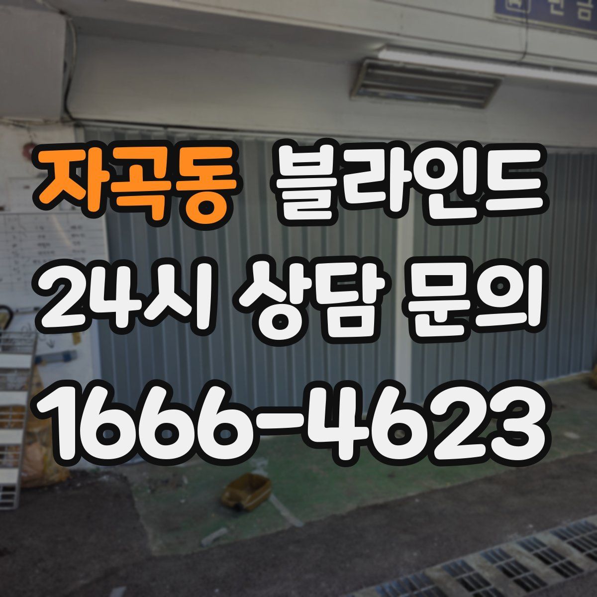 자곡동 블라인드
