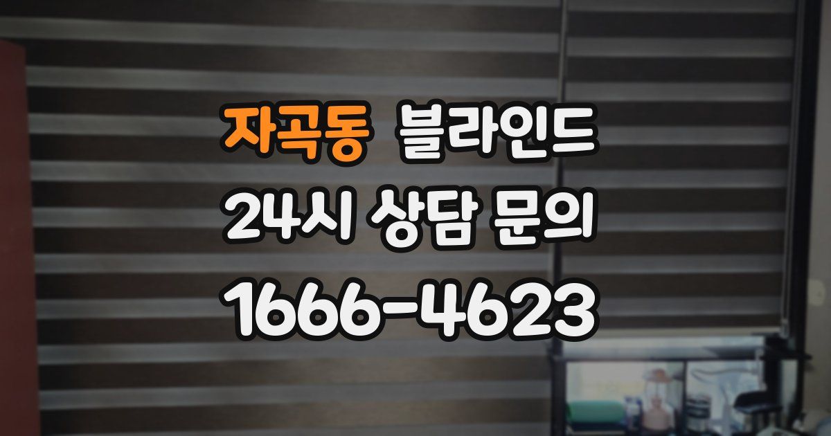 자곡동 블라인드