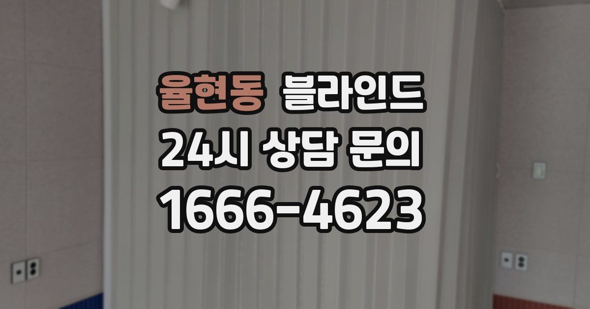 율현동 블라인드