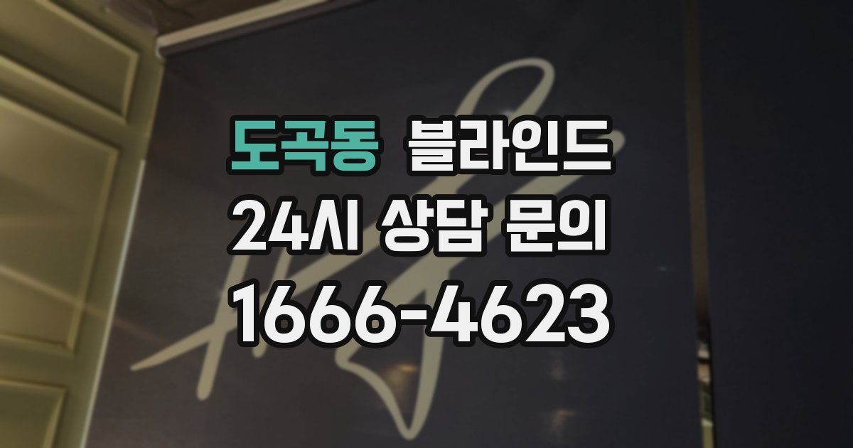 도곡동 블라인드