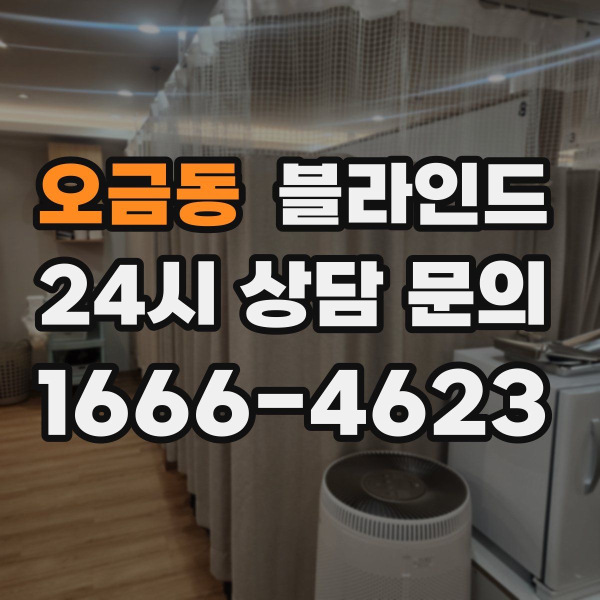 오금동 블라인드