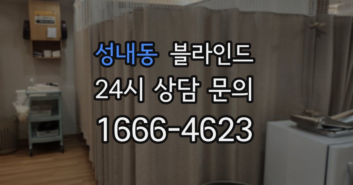 성내동 블라인드