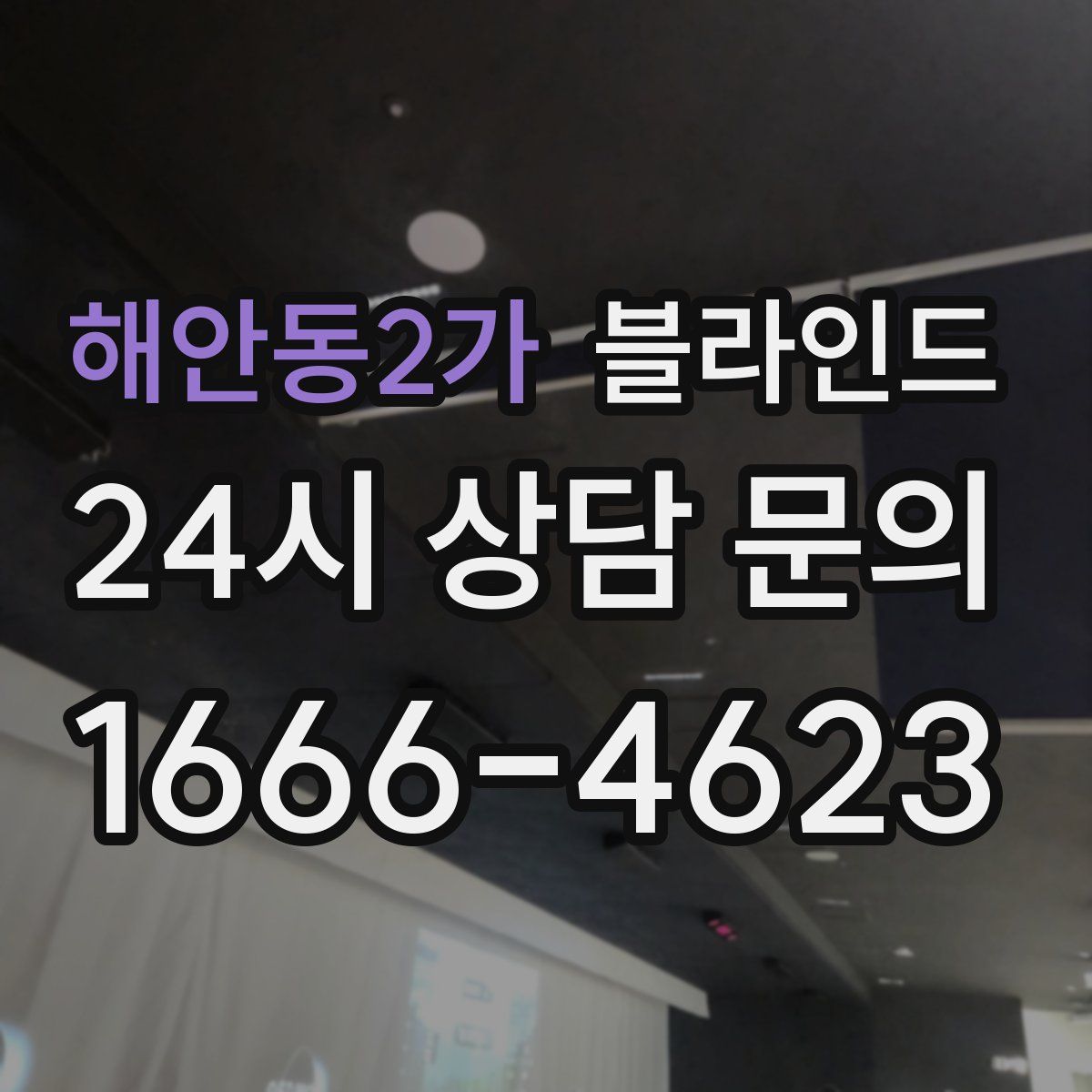 해안동2가 블라인드
