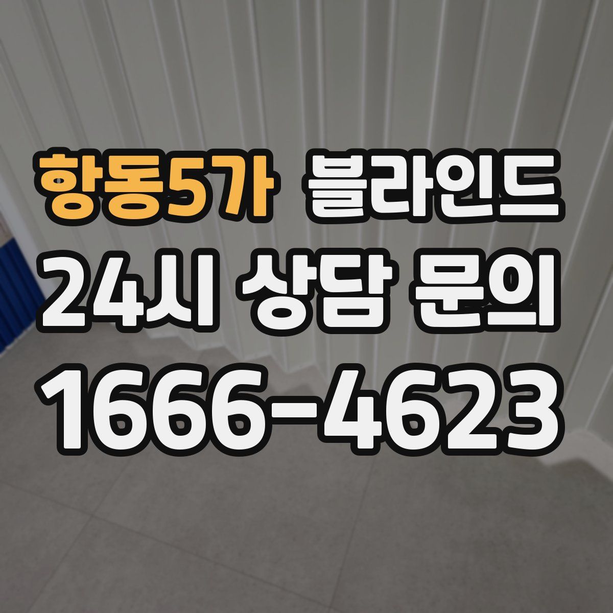 항동5가 블라인드