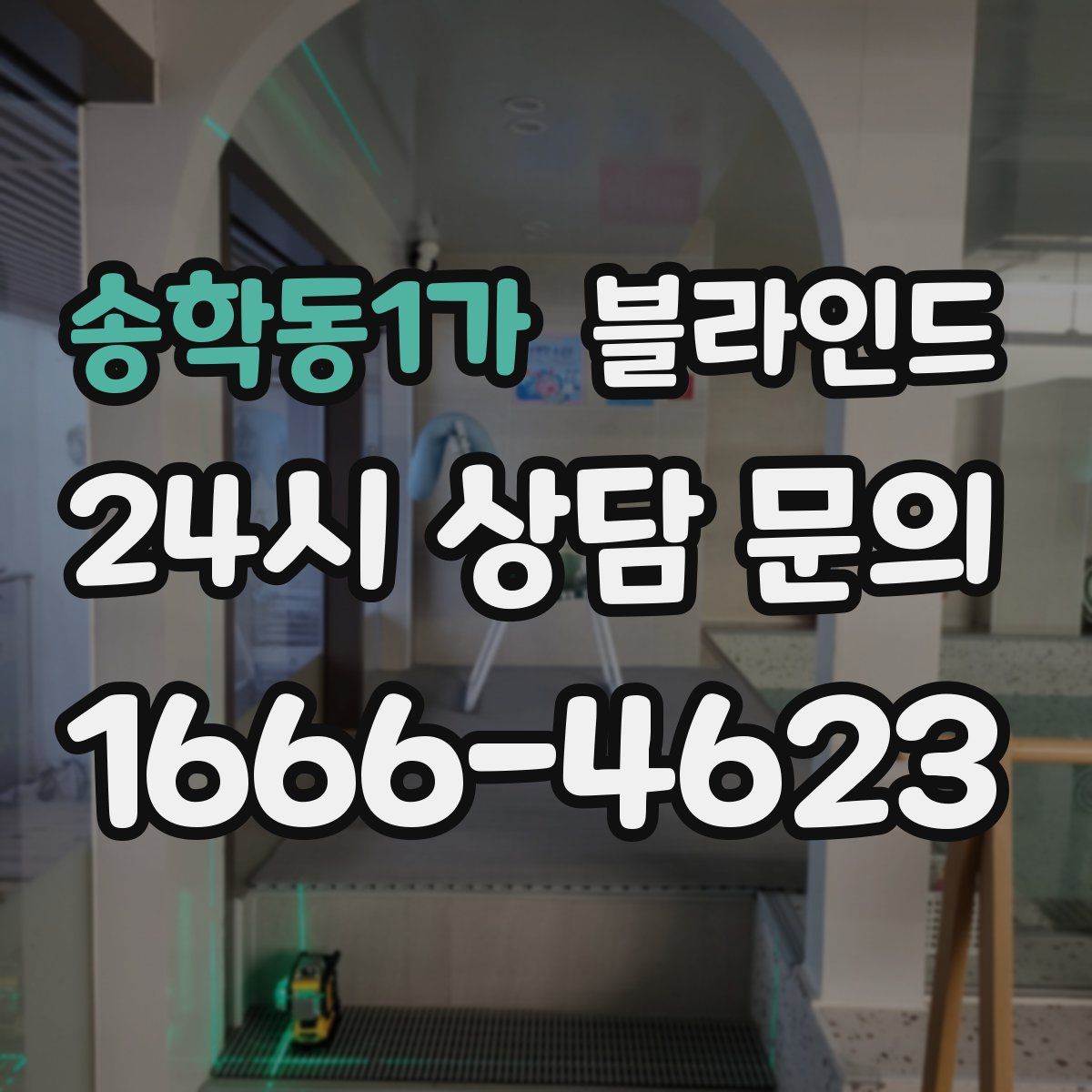 송학동1가 블라인드