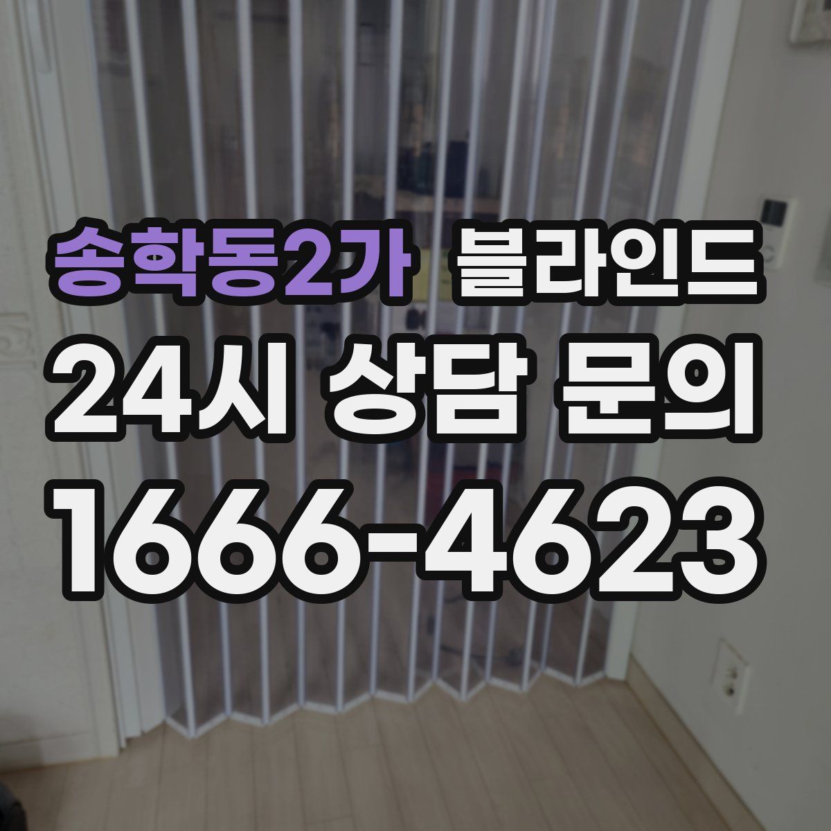송학동2가 블라인드