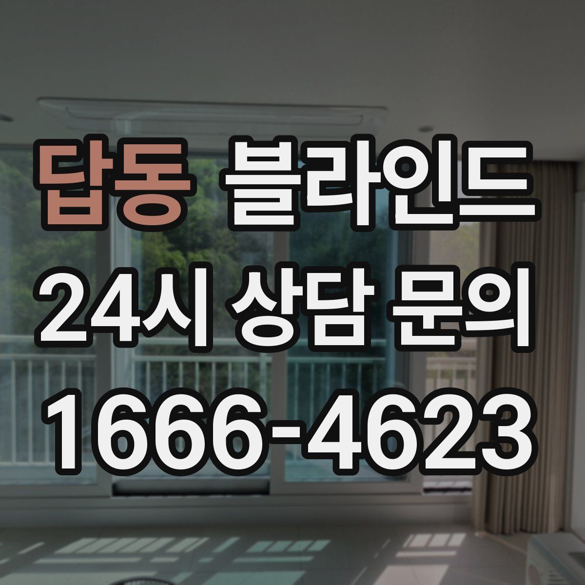 답동 블라인드