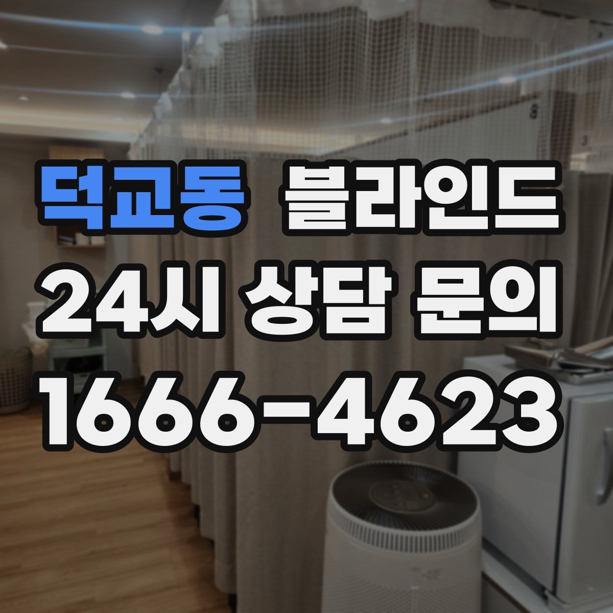 덕교동 블라인드