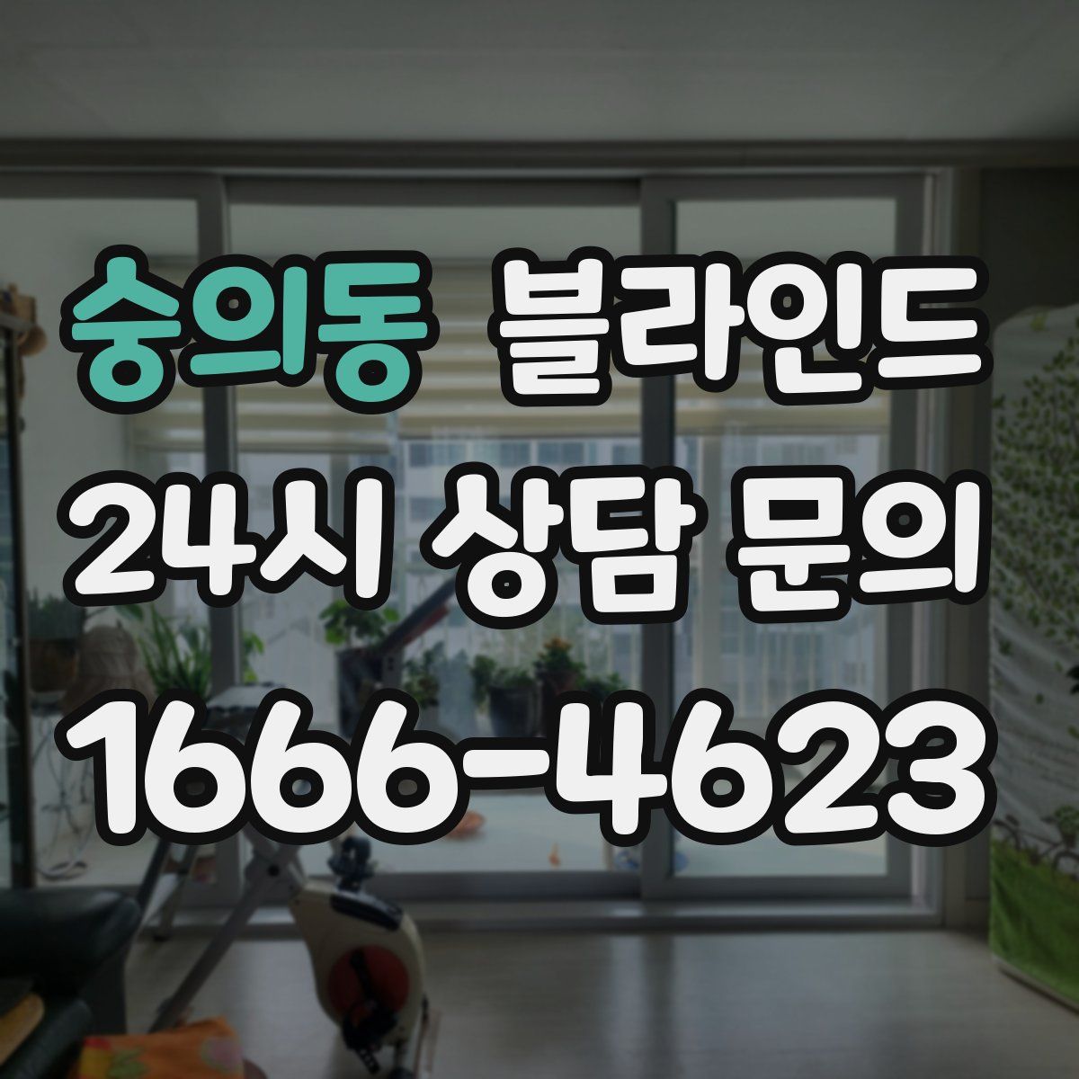숭의동 블라인드
