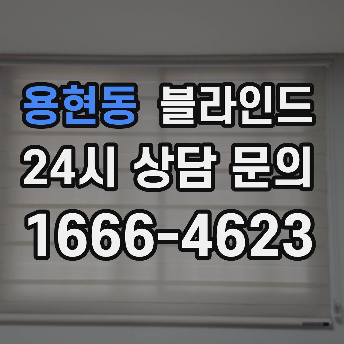 용현동 블라인드