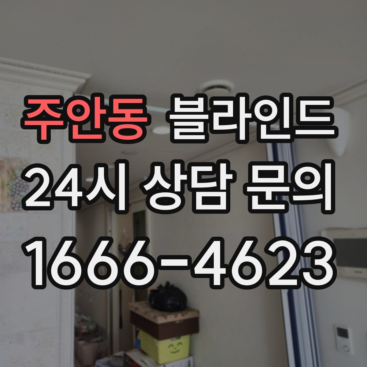 주안동 블라인드