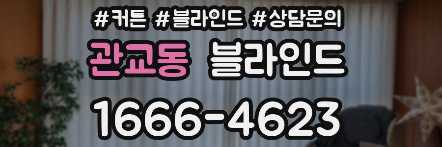 관교동 블라인드