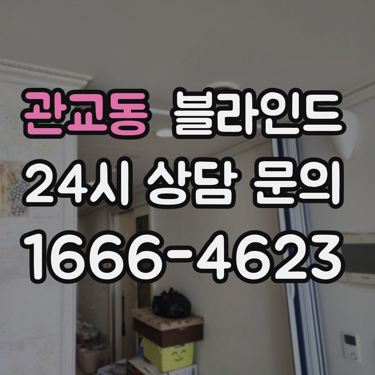 관교동 블라인드
