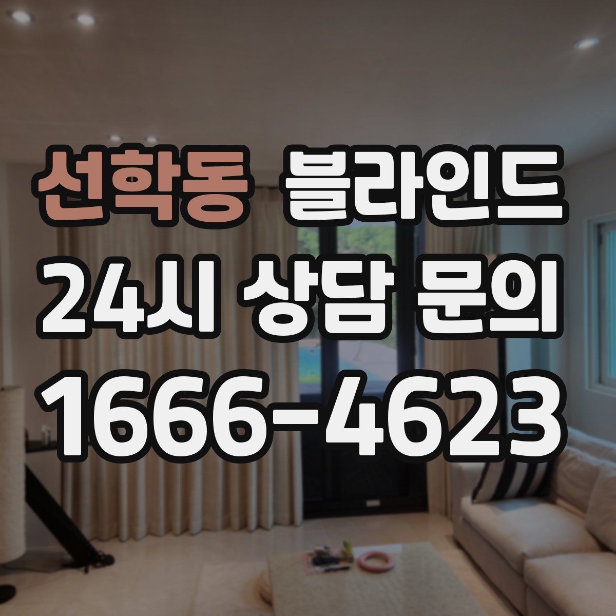 선학동 블라인드