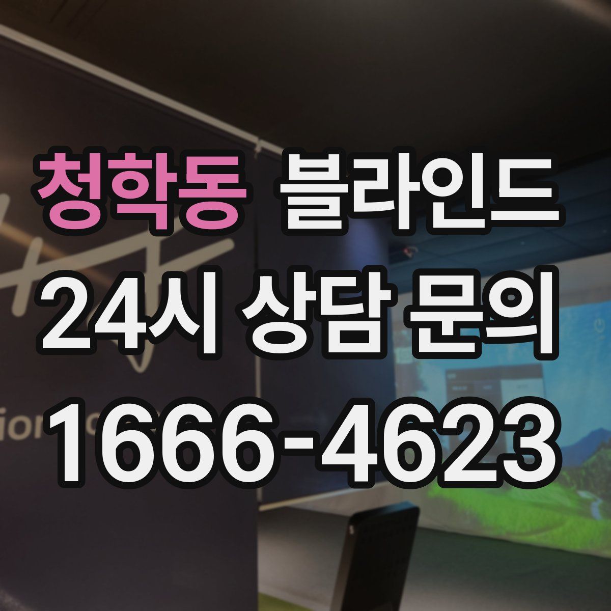 청학동 블라인드