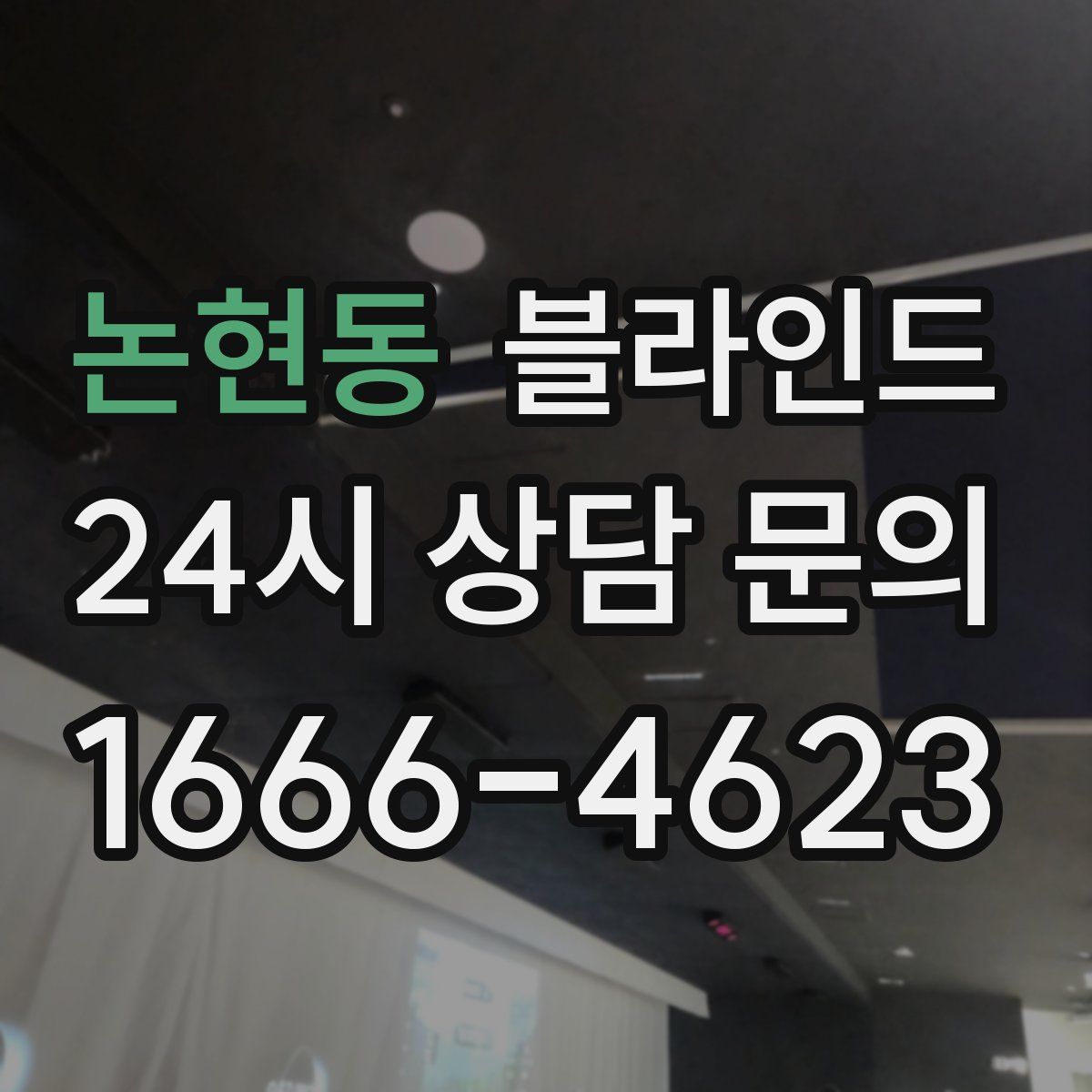 논현동 블라인드