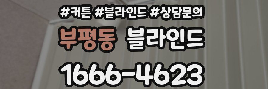 부평동 블라인드