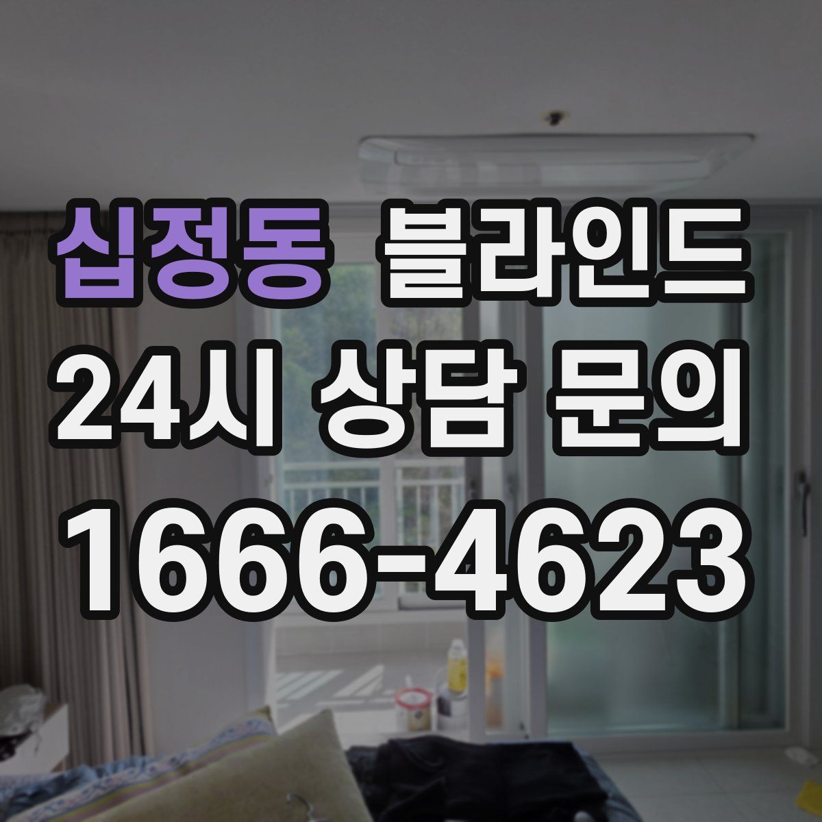 십정동 블라인드
