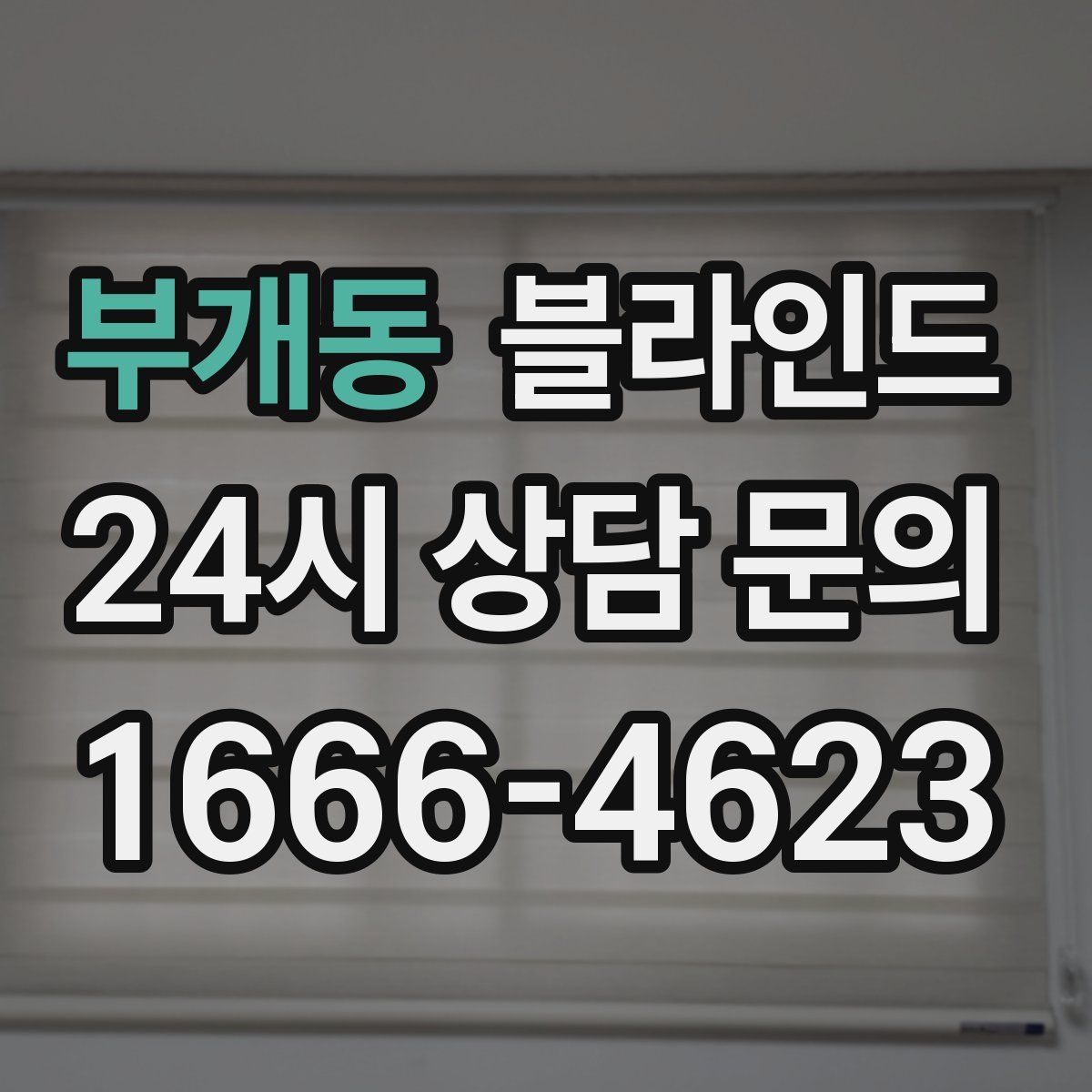 부개동 블라인드